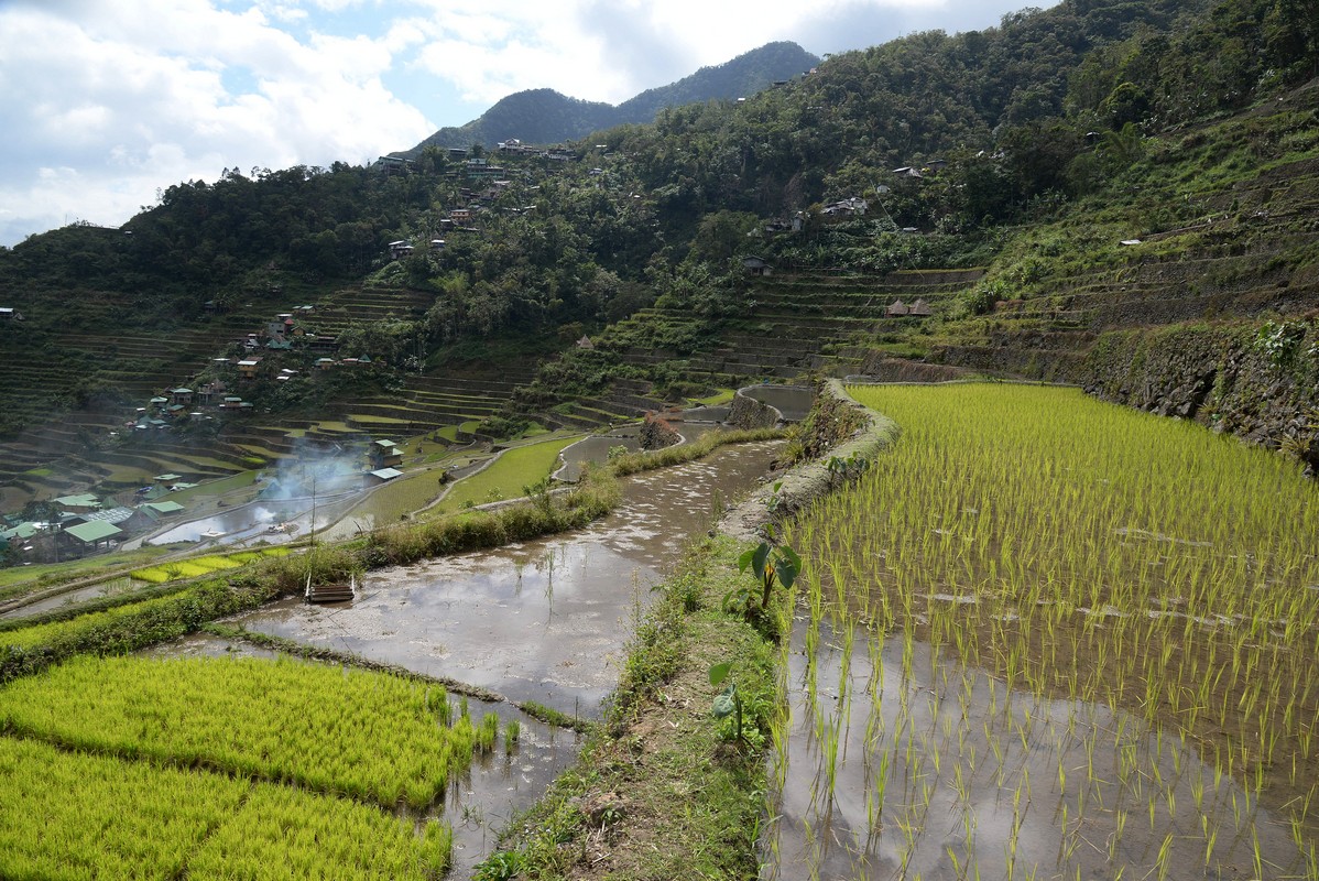 Philippines 2019 batad 23