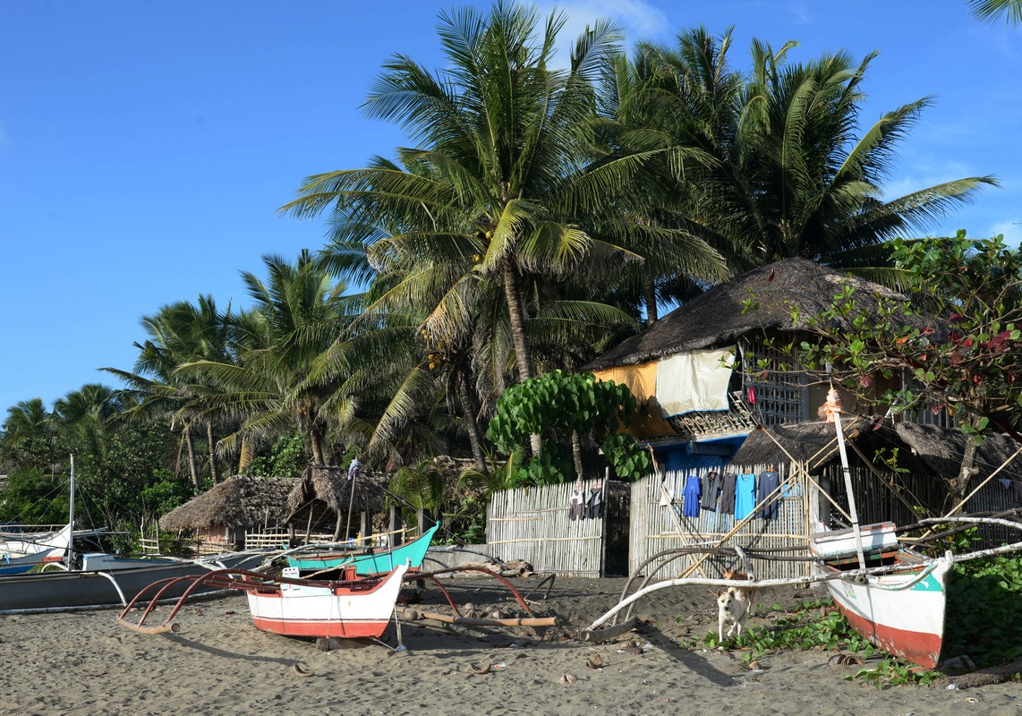 Philippines 2019 donsol 04