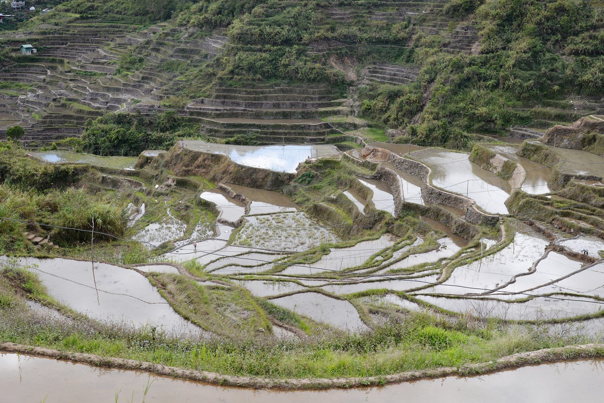 Philippines 2019 malicong 11