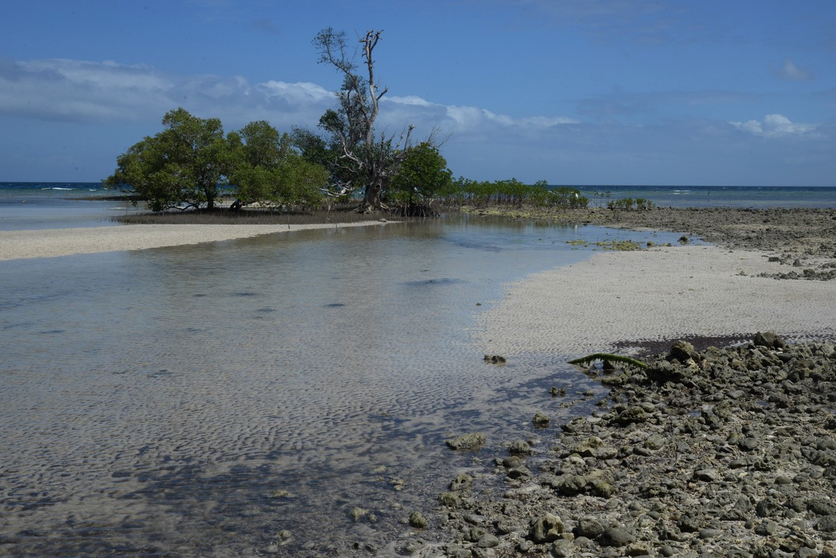 Philippines 2019 siquijor 09