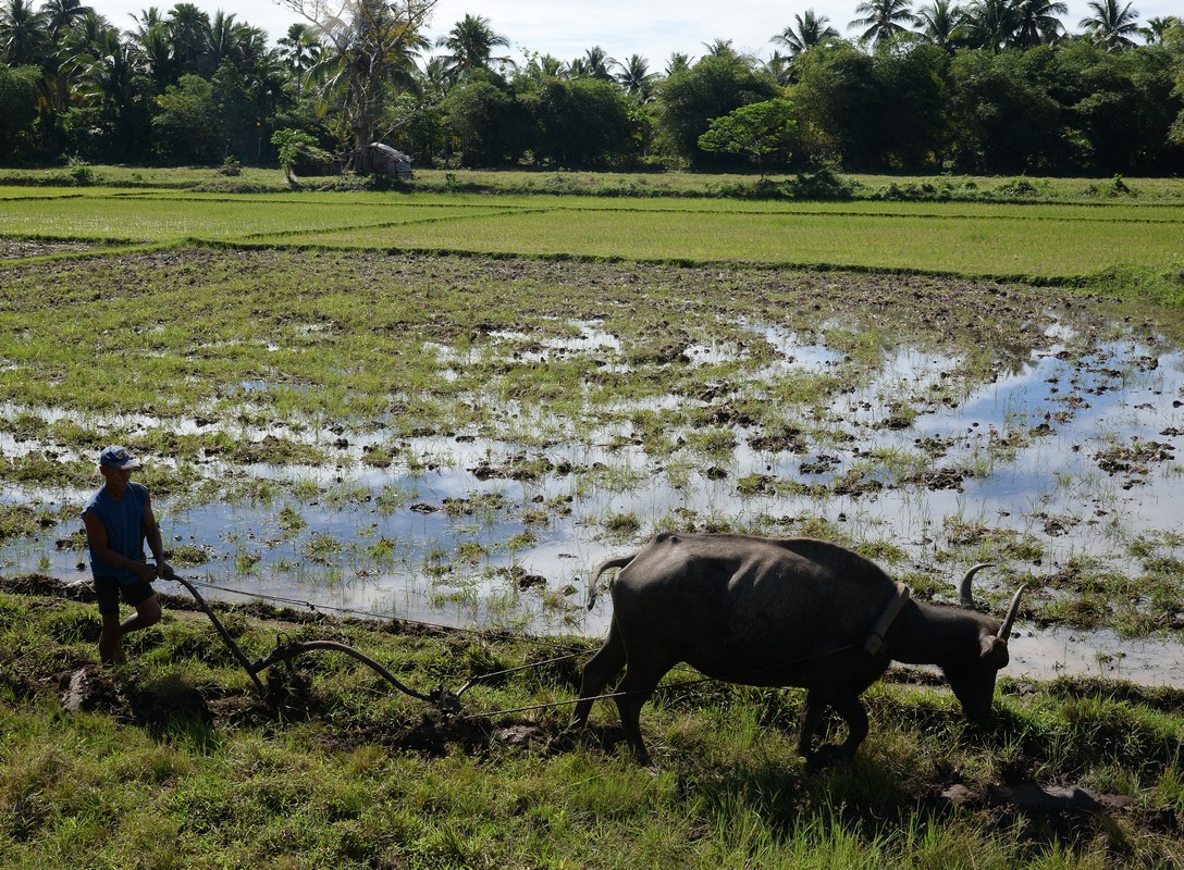 Philippines 2019 virac 01